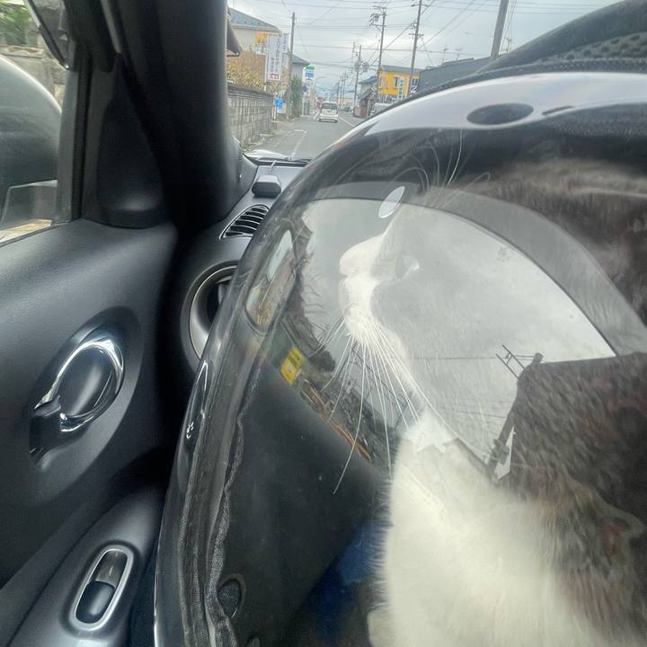 4e6fbf7e f185 4ebf a3f7 bae1338436cb 1704259444536