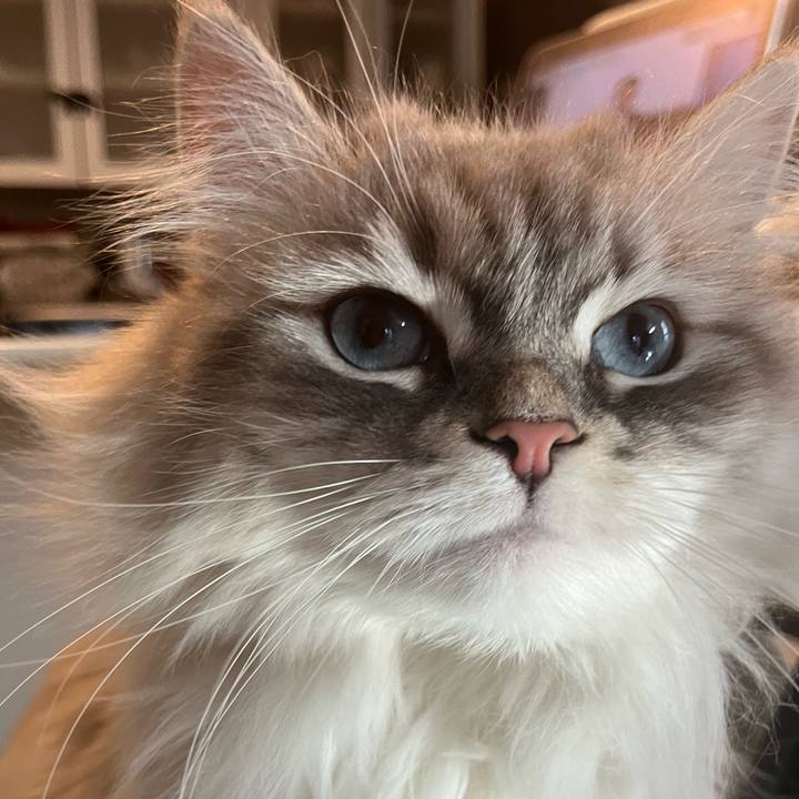 4e6fbf8e bcce 4bbd bf59 8641ae775d88 1741870904046