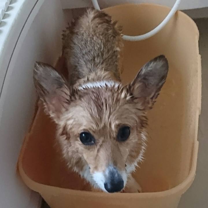 4e6fd63c 8dee 4d29 a1ca 8e3d64421751 1516522532807