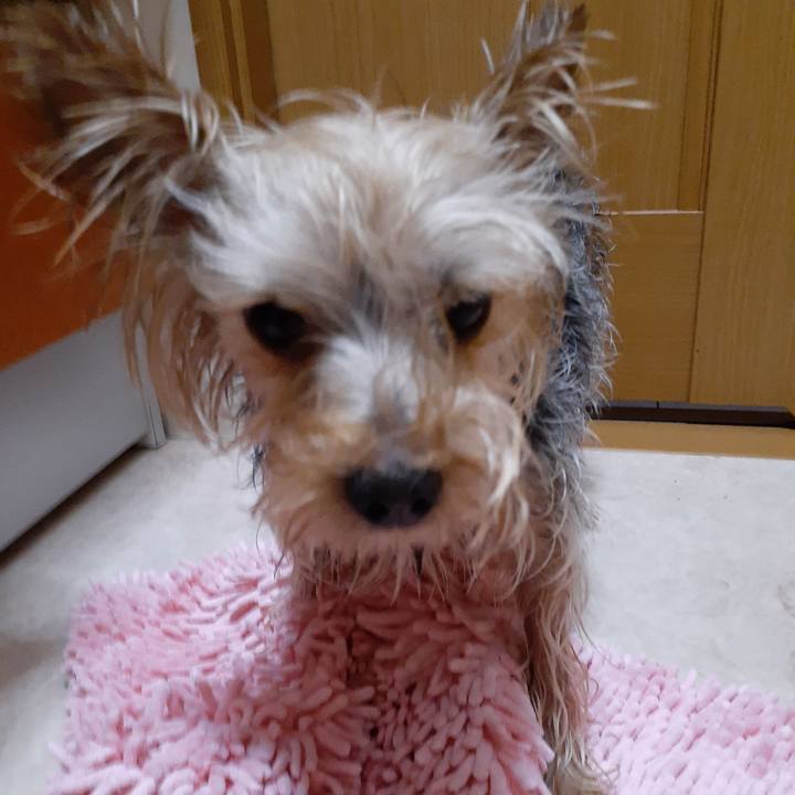 4e6fe096 6d58 4f01 850e 8dd473d6af66 1594730121353