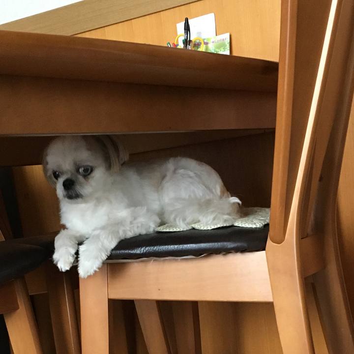 4e700c15 d752 462e 8ebd a7e6a1ad434c 1565955069755