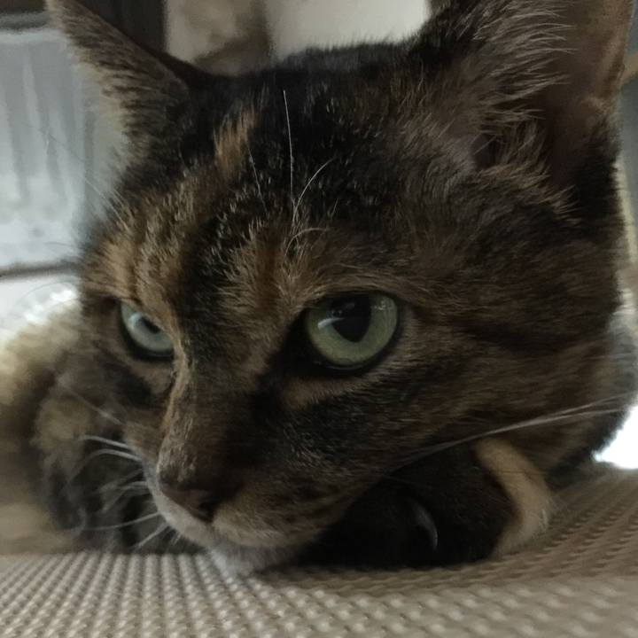 4e700e89 302d 4ece bd61 694f2c2e13c8 1573427504917