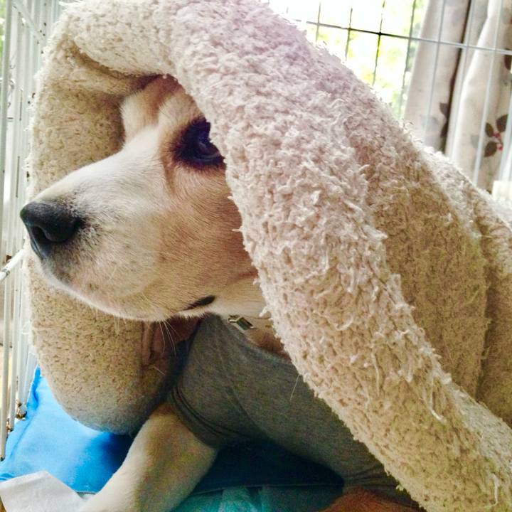 4e703e7c d7a1 4a46 b084 4a50eff548a5 1761981472277