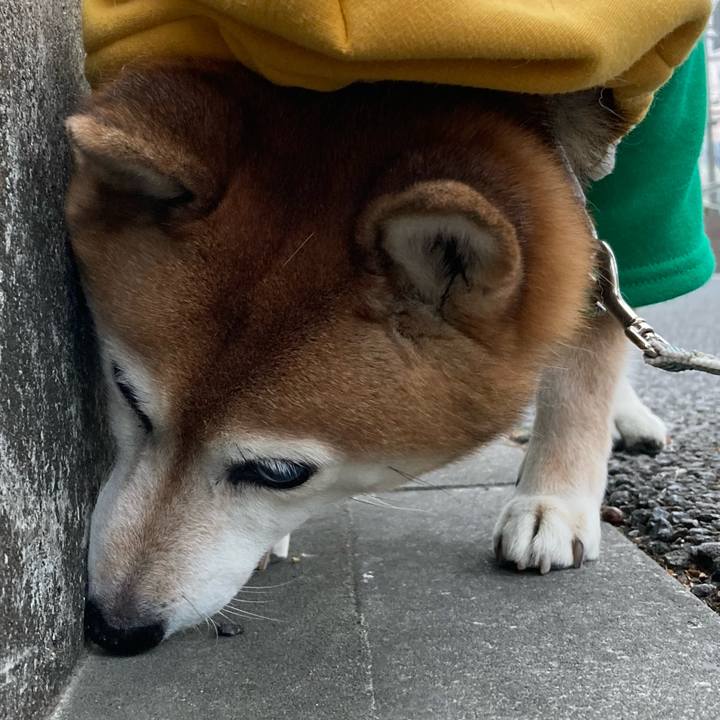 4e7061f7 45f9 4be1 aa6f c40b29795de4 1735891753184