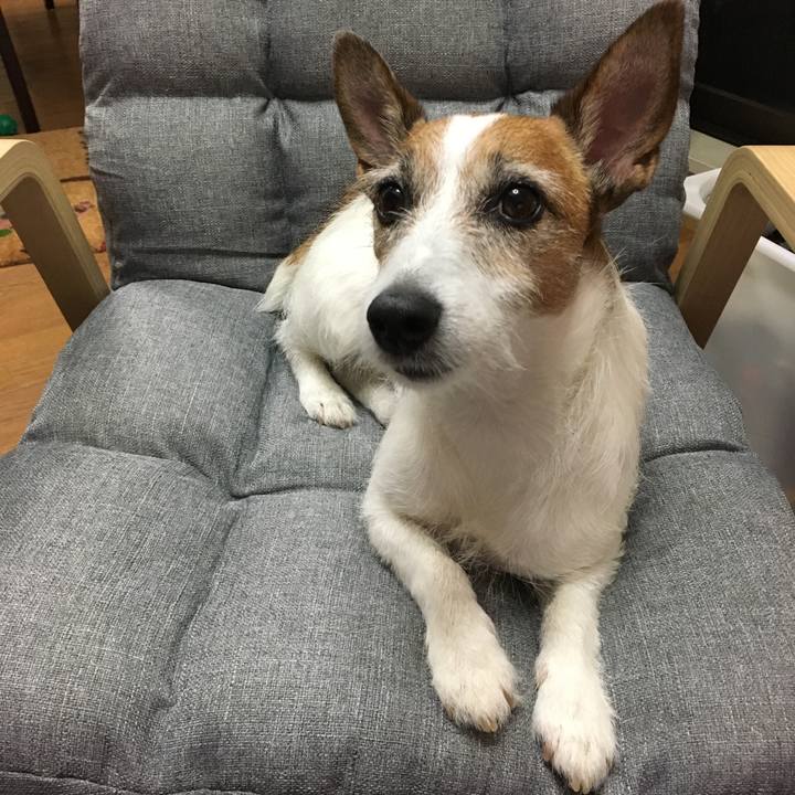 4e71137c 3983 4dcc b8d0 a788b3a50cd1 1561502428432