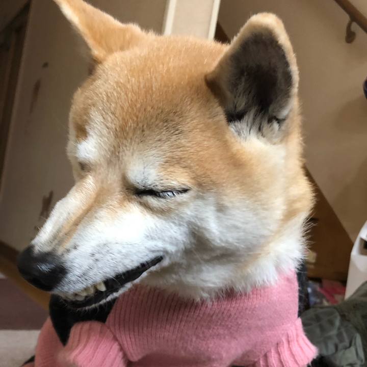 4e7141f0 9210 4baf a6e9 23081b644a1d 1579251913027