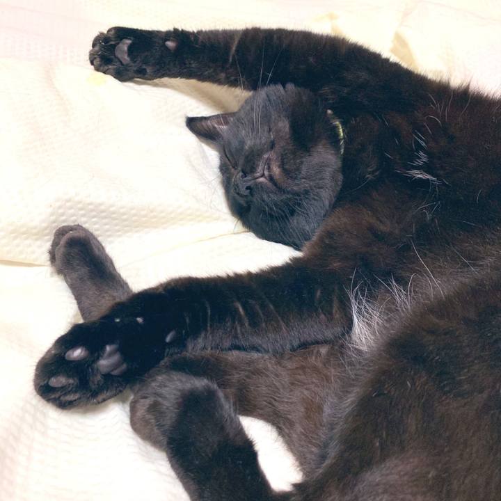 4e715d01 e9ef 47f1 b25f 88674dfd9d70 1566975409390