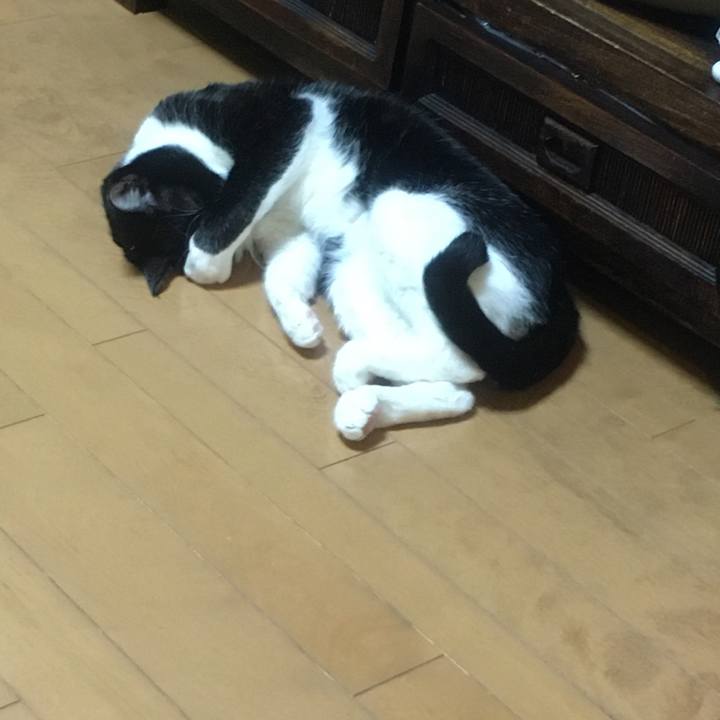 4e717ac0 e66b 4621 b898 a59906ca5e3b 1582357717127