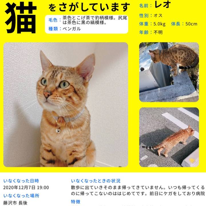 4e719dc0 e0cb 4364 85e1 e26dd87c26e9 1621334576403