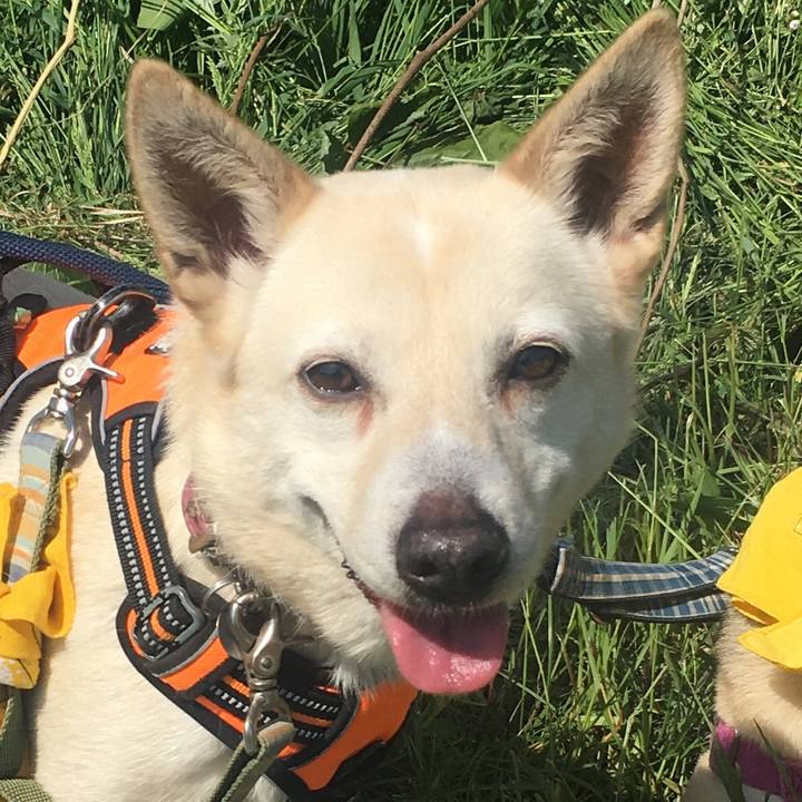 4e71bc72 0944 44d6 8939 51998adb4eae 1525328087577