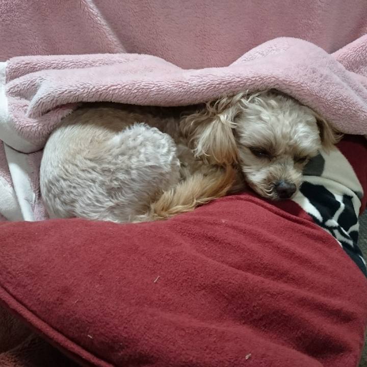 4e71cafc 262e 40e2 8f45 9a97467c314d 1577773662407