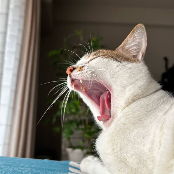 4e71d379 f5d8 4ecd b551 f9f02977f8f2 1755503196357