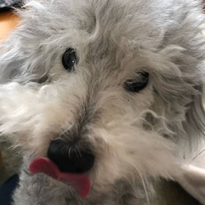 4e71e78d b8ea 48b1 8899 ca9dfaa64865 1523014240279