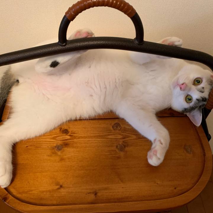 4e71f196 d95d 4fb8 a6de b0e87f680774 1615506814098