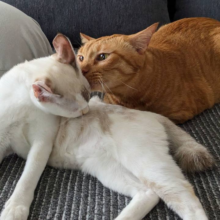 4e721597 a66b 4ae5 ba4d d25b14ec8c82 1696043675747