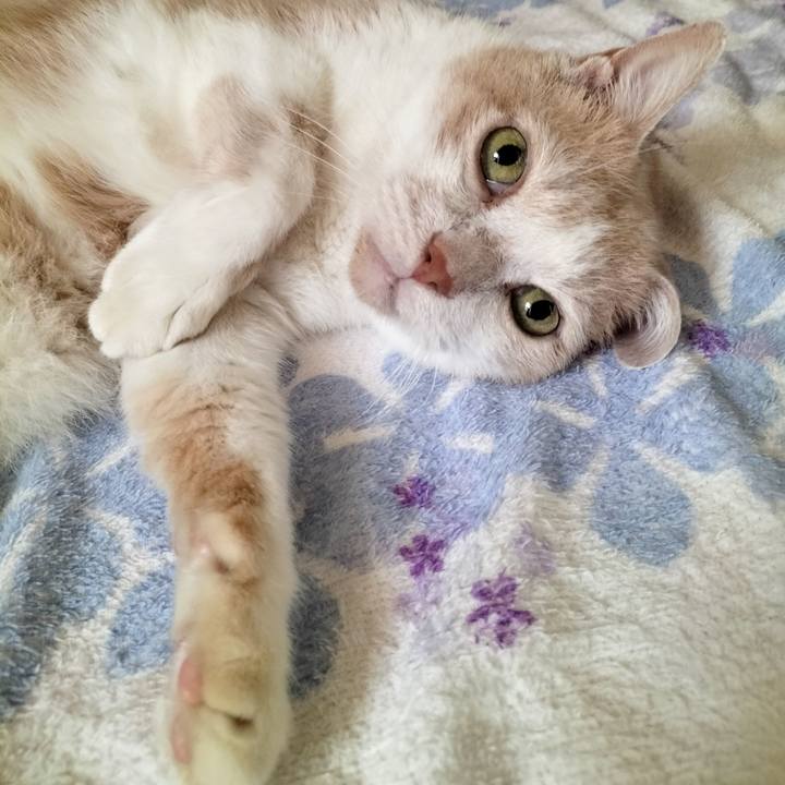 4e72212e e3a3 46ba 8392 f8c643774faf 1664836243720