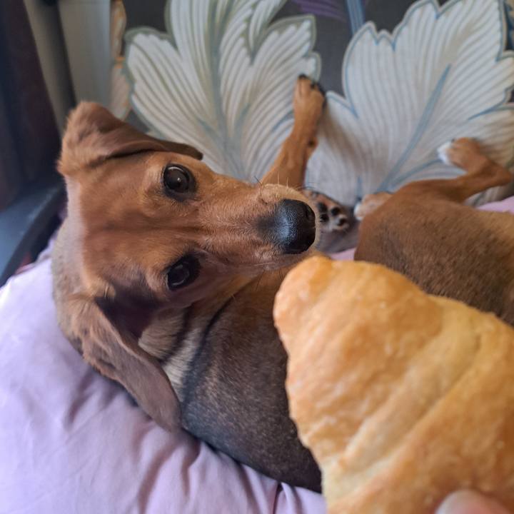 4e72262e 8126 4c42 aab2 07367676de76 1764643563155