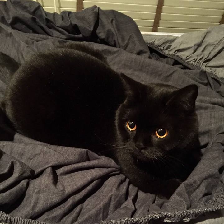 4e72ebd9 22c0 46c5 b2f3 383081ba6948 1578486478866