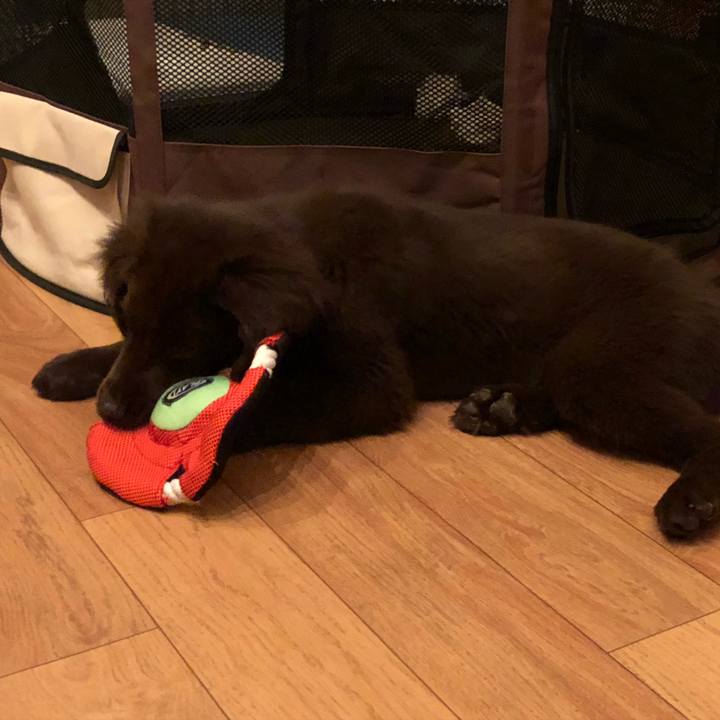 4e72ede2 f50d 443e a20d c5f180fef7e7 1552655546133