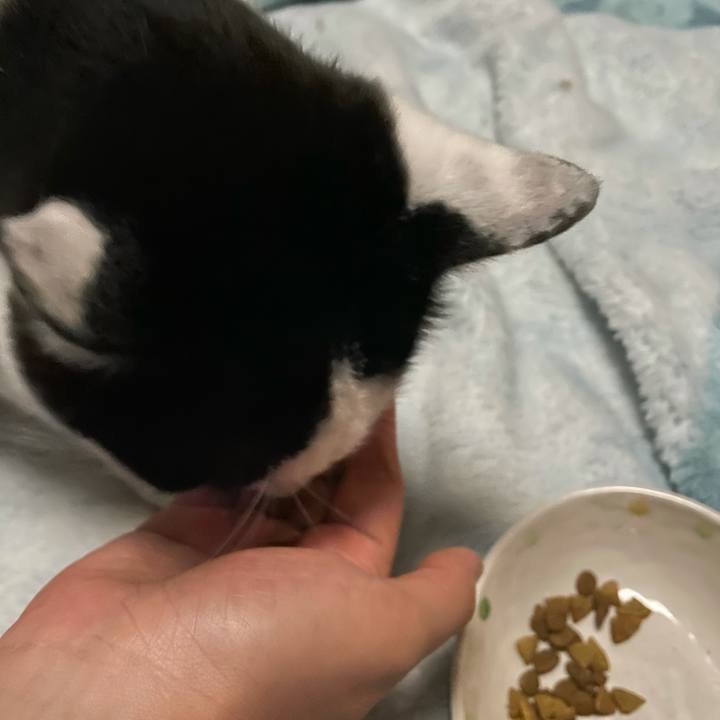 4e731e43 7b26 44b4 b3dc 447ee9ee8b77 1619257970510