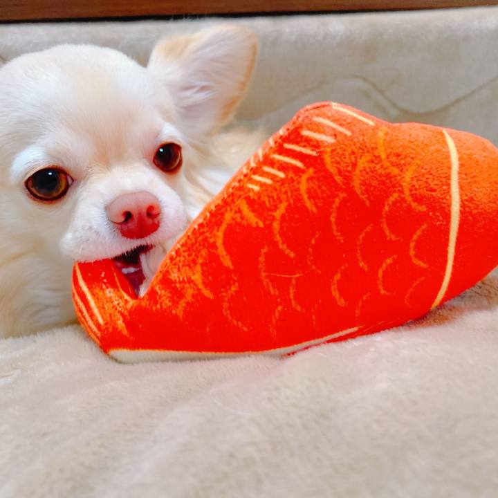 4e732cbd bb0a 4d40 aa34 6a89be78d686 1644835687222