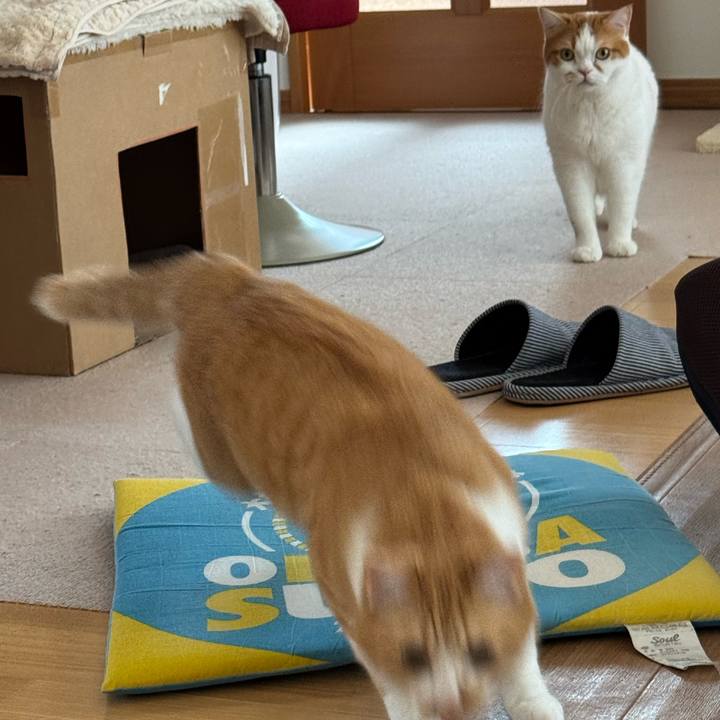 4e732e06 bef5 4ca4 ab00 2646bdf7a34f 1776394066827