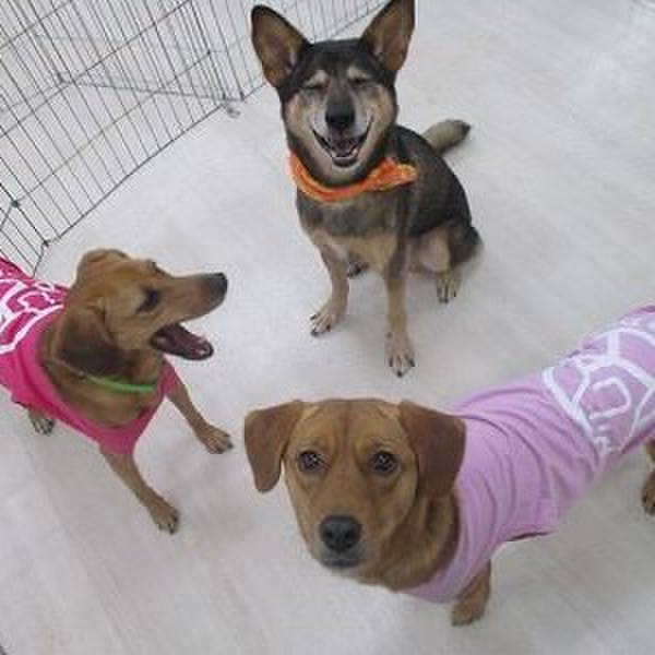 4e73559c 41fa 46b1 8988 82b8e0889337 1516896004187