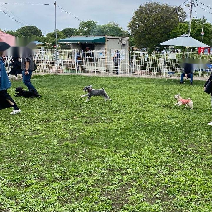 4e7364cb 5e29 4679 9b2f 05d39c262613 1745661443623