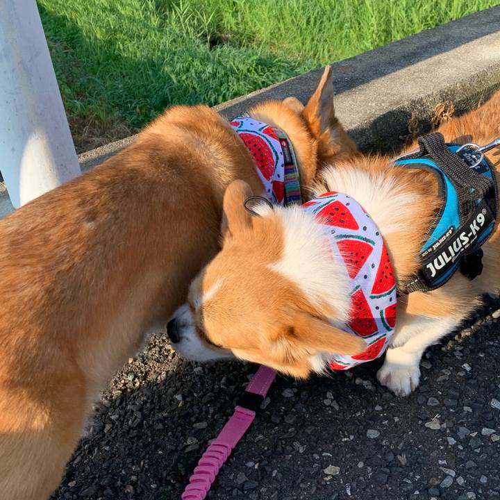 4e73935c 0fca 49b7 96e1 afc985a151cf 1691102161600