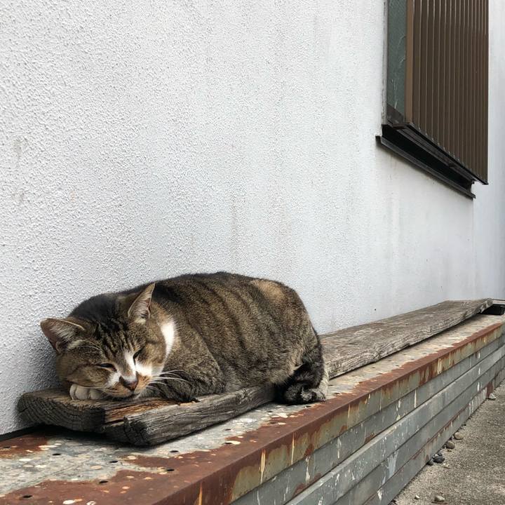 4e739e3d 7f1f 4aa6 98cb 34f9d2a7d02e 1543829181472