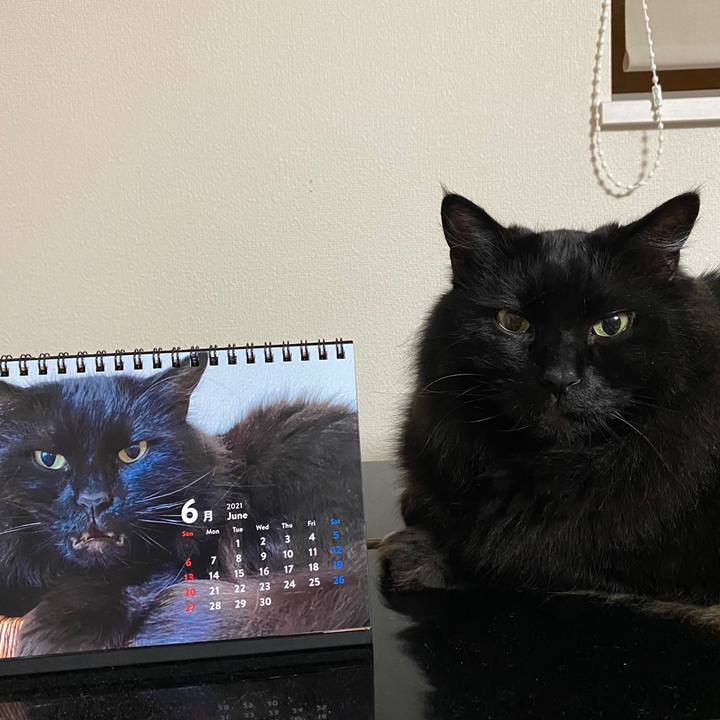 4e744091 c3b7 454e bc8e e10ba881d84d 1622467016697