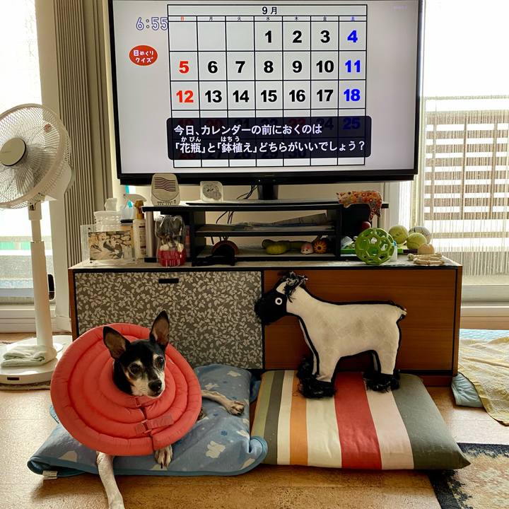 4e74509e e892 422b 8973 179f418d6a5e 1630448842628