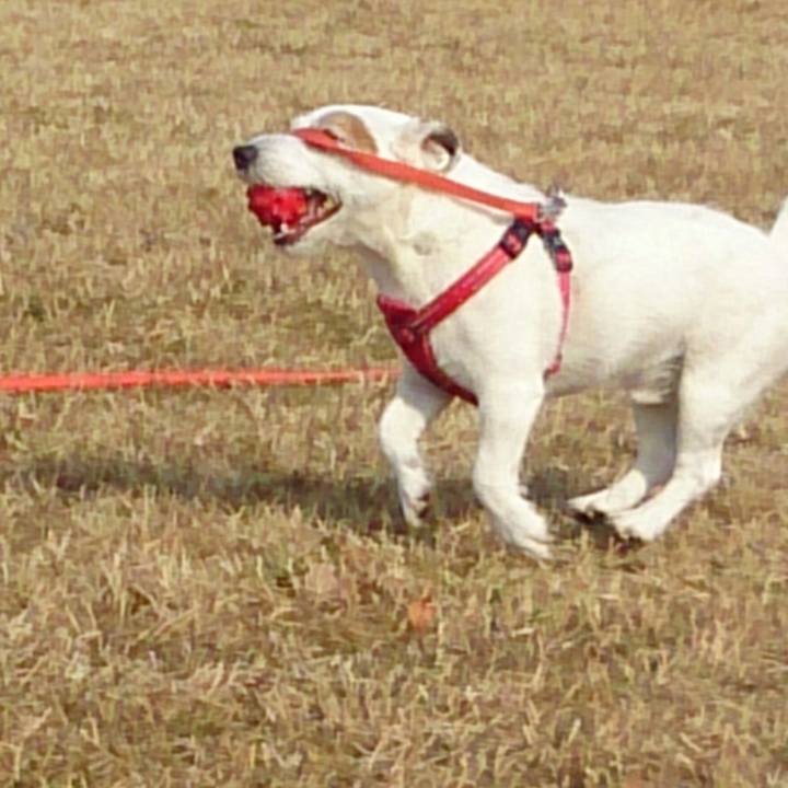 4e7468ba 5371 4b50 b4b3 19de5f789fb8 1516582148786