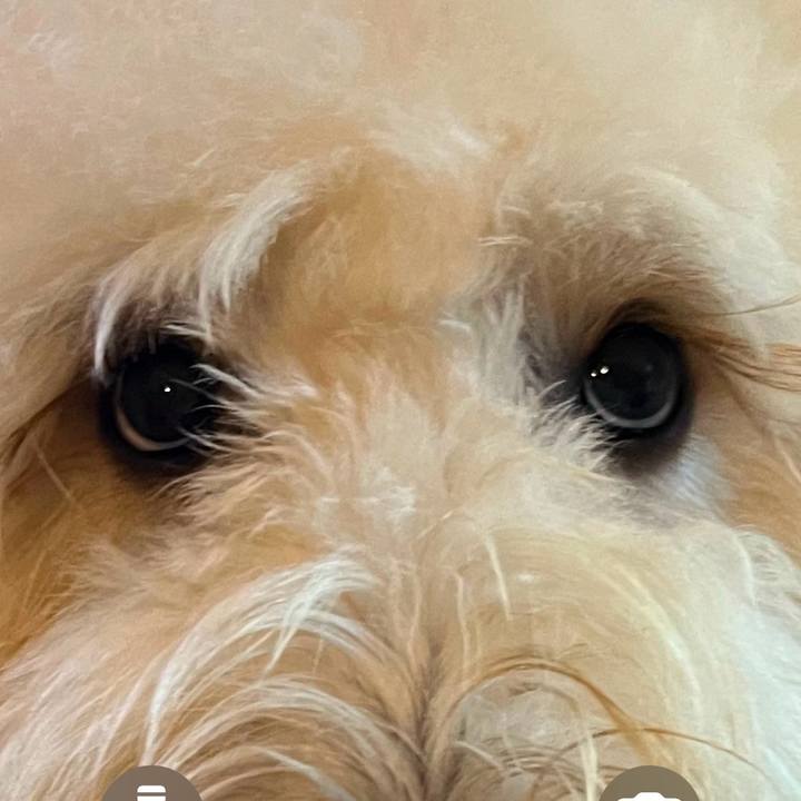 4e74d0a6 8ee2 46f2 8971 feb820e09e4d 1736146000283