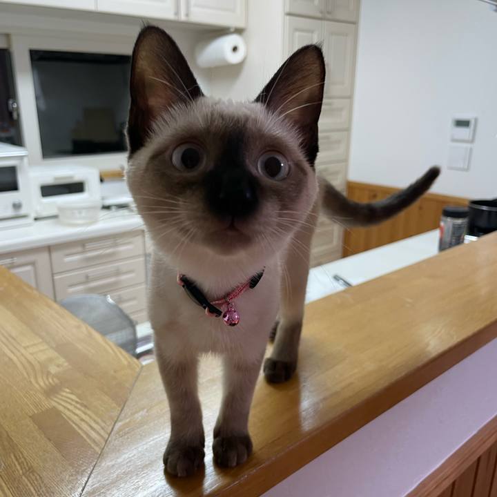 4e74da1b 2940 429f 8b9c 3f1fadf73562 1693770117217