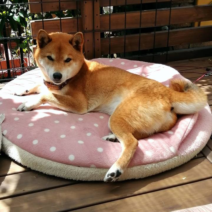 4e754f53 1ed2 4dee bd65 63ec61ebac97 1618713286878