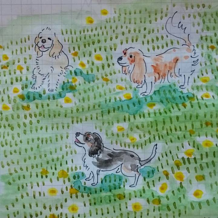 4e757867 3dcc 4e0f a04d 46f75d0b5fce 1561025679989