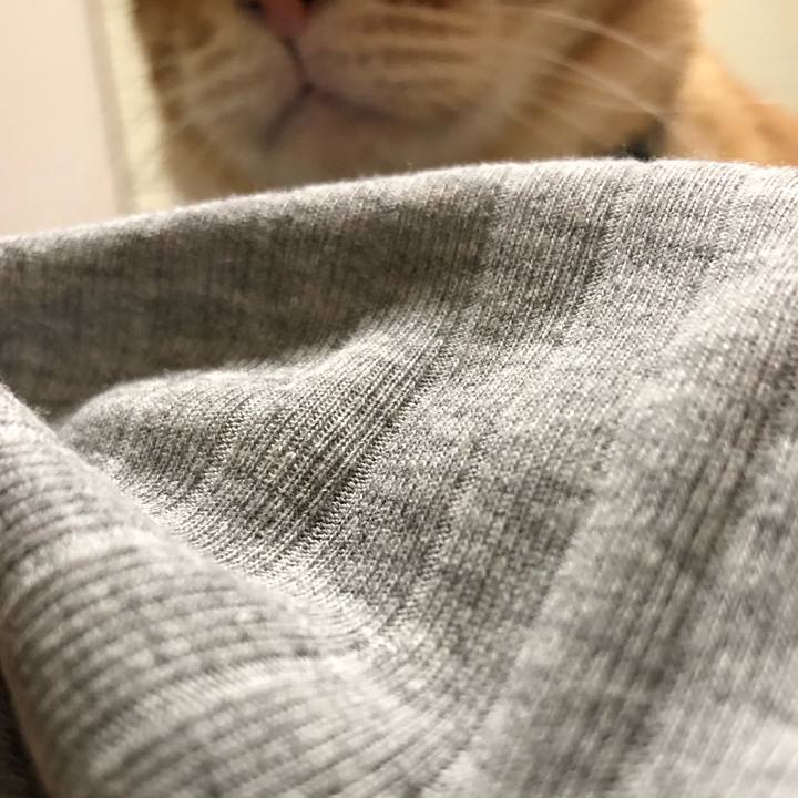 4e7595a9 81b4 442f b7c4 7b23462987c2 1580560890841