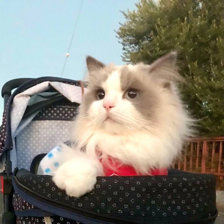 4e75e39c 76cd 437a 9a42 e63848337326 1639347027507