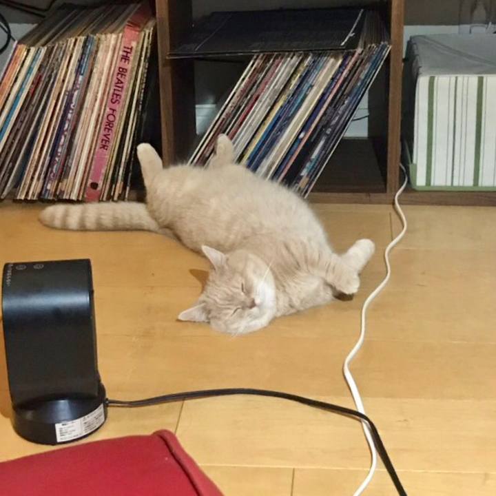 4e75eeea afb4 4841 8f00 9502643683c9 1546435168612