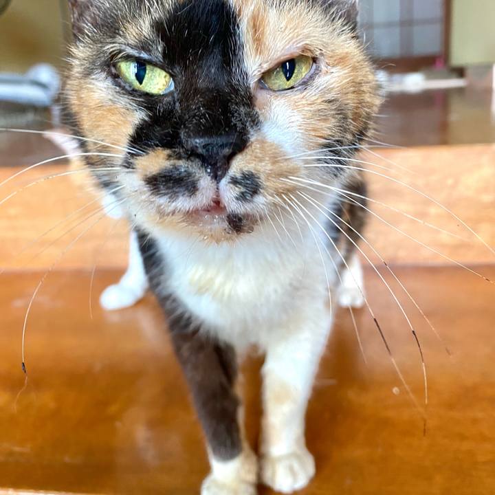 4e75f717 8adb 4dea 84d0 e2f1cc0399de 1690075270936