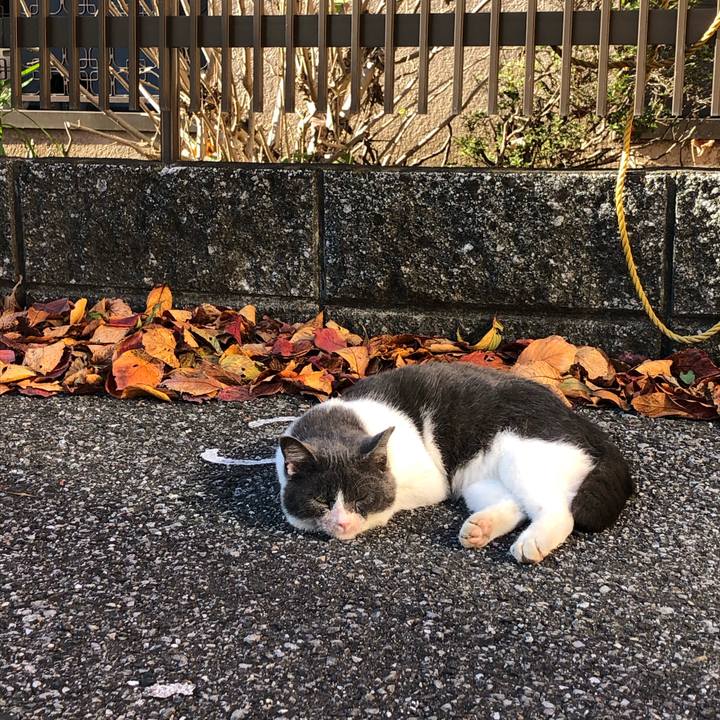 4e75f834 4bdf 478b 96f1 07668380ce55 1606146411115