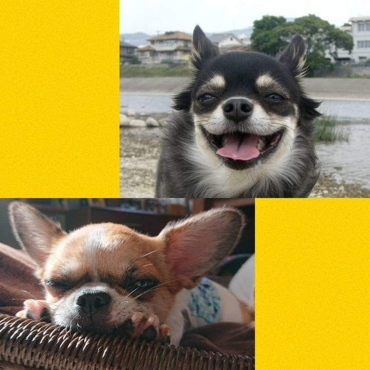 4e75f9d6 cfd1 4dd2 8664 11d150f44510 1575621078212