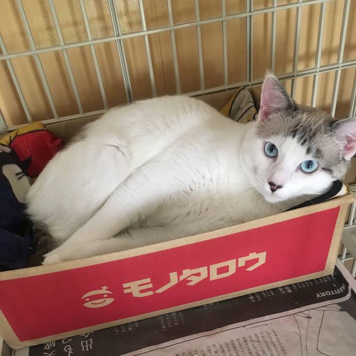 4e76092f 13f6 4912 9e7b f6d4ae4aa567 1545962542463