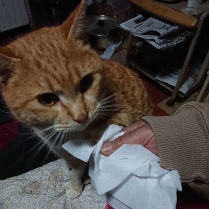 4e76214e 58a7 4587 948e c24c9b90f796 1578428733966