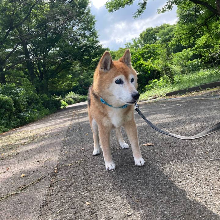 4e763a49 f88d 43cf 9b3d 394eff8981f1 1750985358908