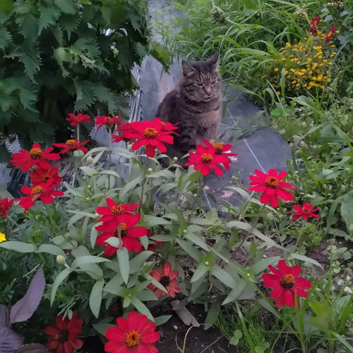 4e767103 16f8 4f57 9e7b 56a44c50ae2c 1689849528754