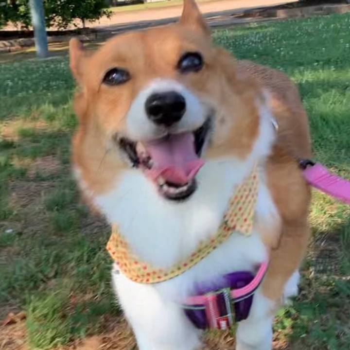 4e767b44 4d57 42eb a9db 148d9382028c 1759928953054