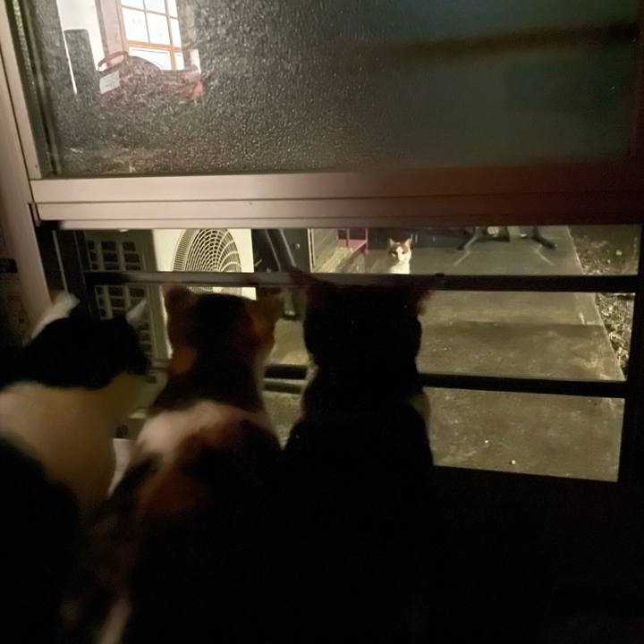 4e76ef49 ff61 4b4b 9df6 d08c1844ab1a 1714416741666