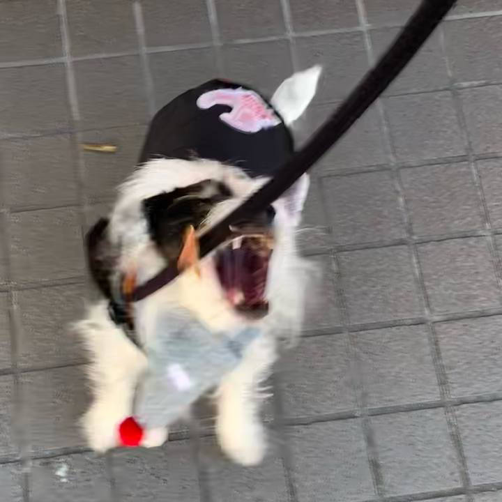 4e7757d6 bedc 4acb 9fcd 316759ba79f4 1705230935960